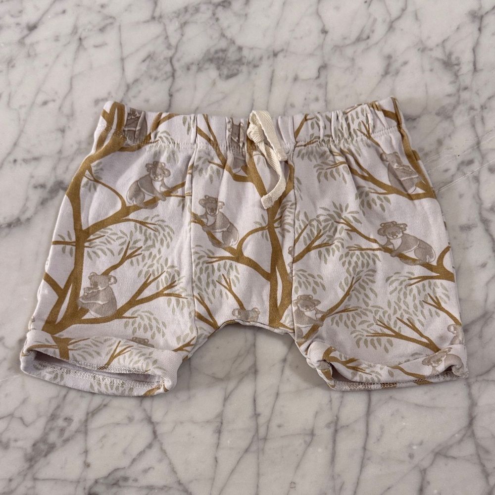 Kate Quinn Organic Koala Print Baby Shorts Sz 12-18 Mo